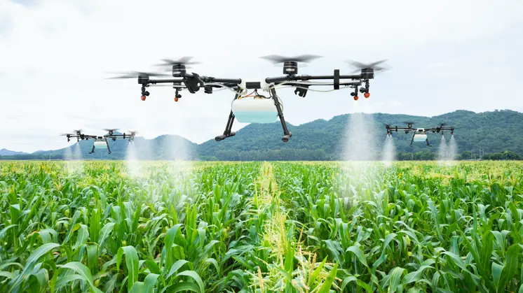 3 Smart Farming Solutions Help Farmers Track Their Crops in Real Time