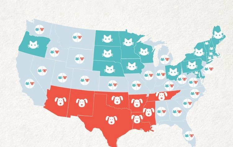 These Maps Show Just How Different You Are From Americans In Other States
