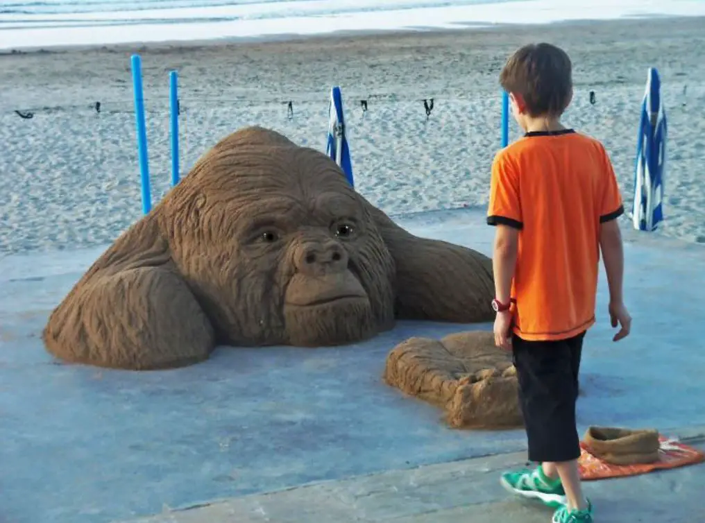 You Need to See These Creations! An Artist Makes Animals from Sand