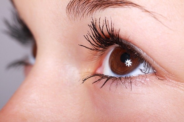 How to Grow Your Eyelashes the Fastest Way